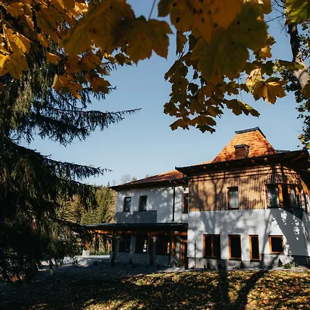 Bellini 4*